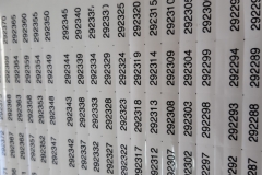 Adesivo numeração